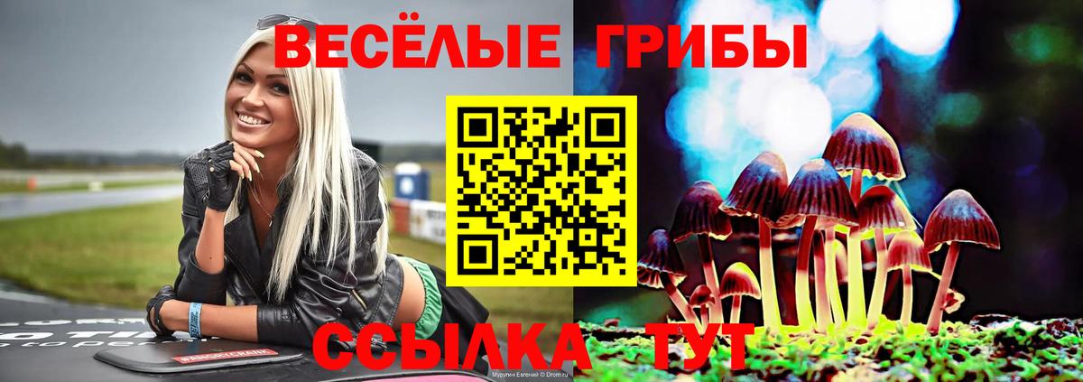 Черногорск  Галлюциногенные грибы мицелий  Вход с VPN 